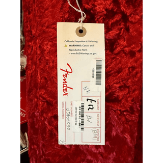 Fender telecaster USA Jimmy page model image 3