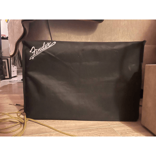 Fender DRRI - trade for telecaster image 2