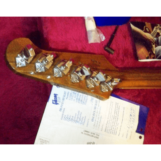 2003 Gibson Firebird V Reverse Headstock w/ Mini Humbuckers Banjo Tune image 2