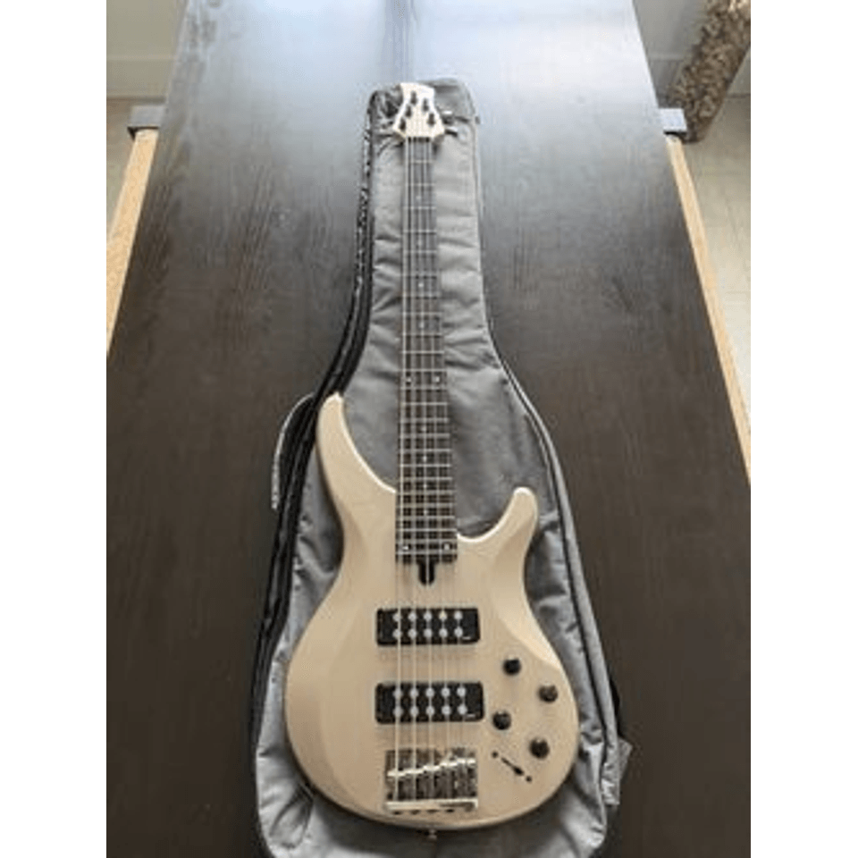 Yamaha TRBX305 5-String Bass Light Metallic Gray with Bag
