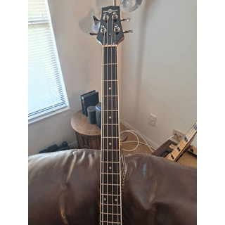 Semi hollow bass trade for amp image 4