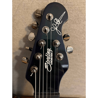 Sterling Majesty 7 string image 5