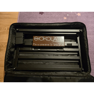 FS/FT: PedalTrain Novo 24 with softcase, Cioks Ciokolate power supply image 2