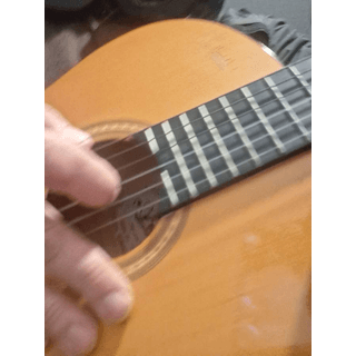Ariana Acoustic Guitar, Kace III gig case, Korg tuner, capo image 4