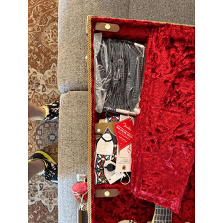 Fender Jimmy Page Telecaster USA image 4