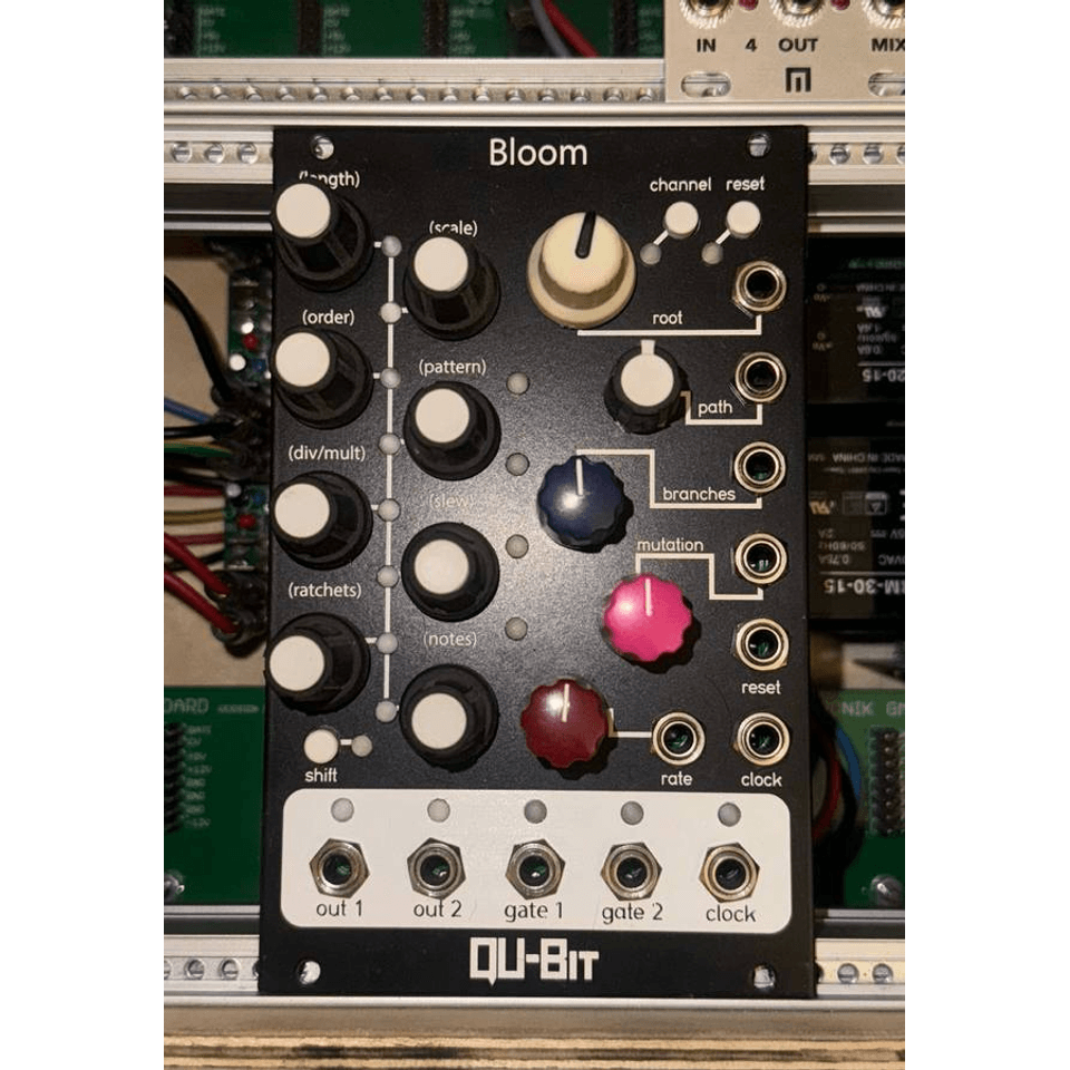 Qubit Bloom