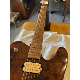 Custom Tele image 5
