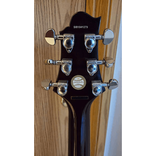 Samick Greg Bennett Torino TR-2 SG Guitar (Open to Electric Guitar Tra image 4