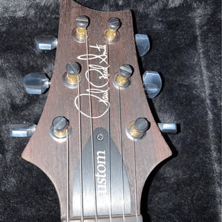 2021 PRS Custom 24 USA Core Mint trade for precious metals image 5