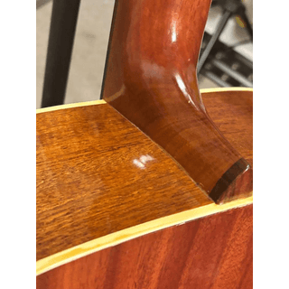 973 Alvarez 5021 12 string image 5