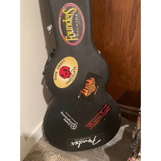 Edwards Les Paul FS/FT image 5