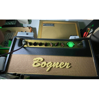 Bogner New Yorker image 3