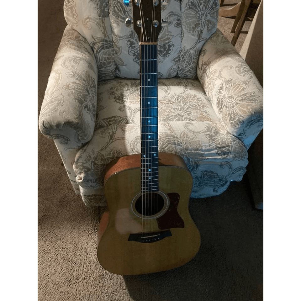 Taylor 310