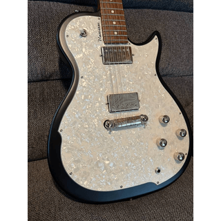 Sell or trade Godin Radiator image 4