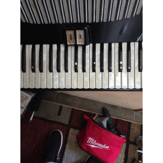 Polina accordion (made in Italy) image 3