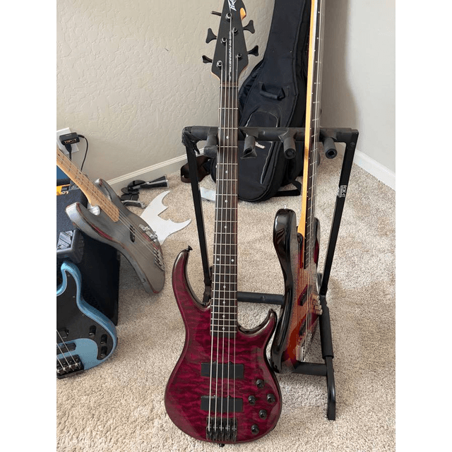 Peavey Milenium AC BPX 5 string bass