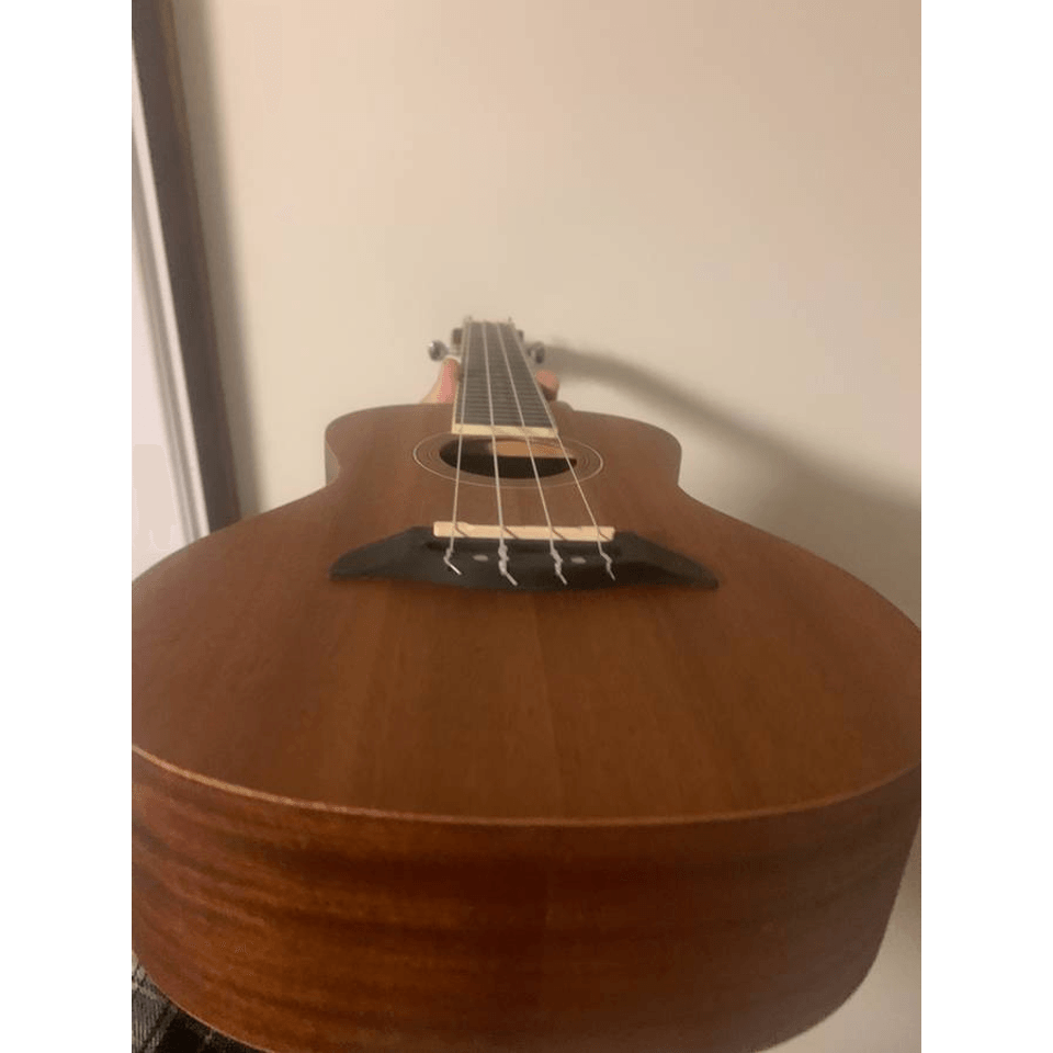 NEW Oscar Schmidt Ukulele with gig bag