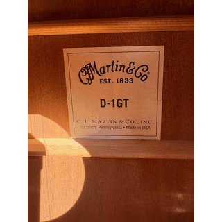 Martin D-1GT w/OHSC image 3