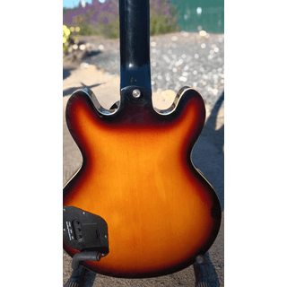 Epiphone Dot Ultra ES-399 image 3