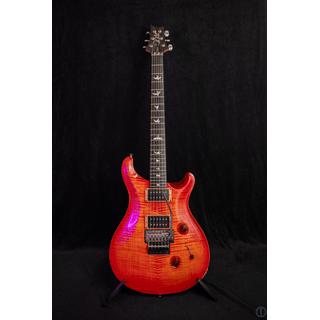 PRS Custom 24 Floyd image 2