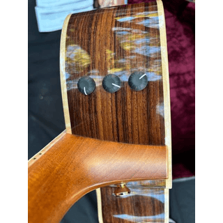 Taylor 810ce NOS mint image 2