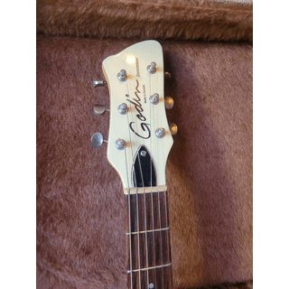 Godin Richmond Dorchester Semi-Hollow w/Case TRADE? image 4