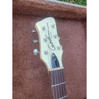Godin Rochester Dorchester Semi-Hollow w/Case TRADE image 3