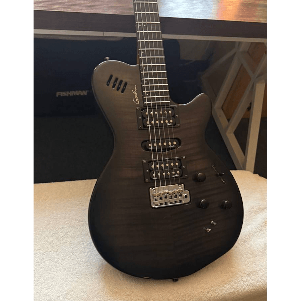 Godin XTSA