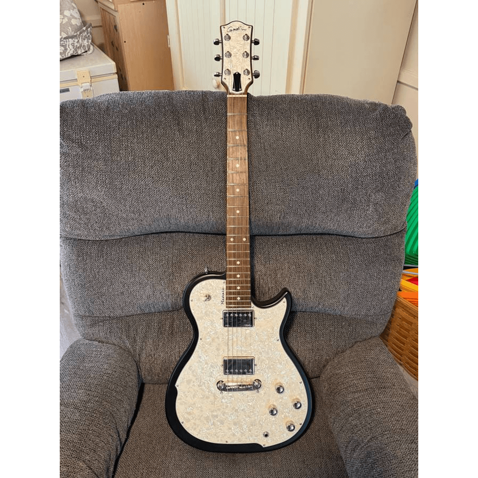Sell or trade Godin Radiator