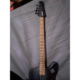 Thunderbird Bass, Epiphone image 3