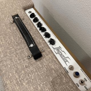Carr Impala 40W Amplifier image 2