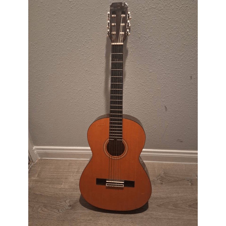 Ariana Acoustic Guitar, Kace III gig case, Korg tuner, capo