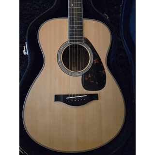 Yamaha LS16M A.R.E. with hardshell case image 2