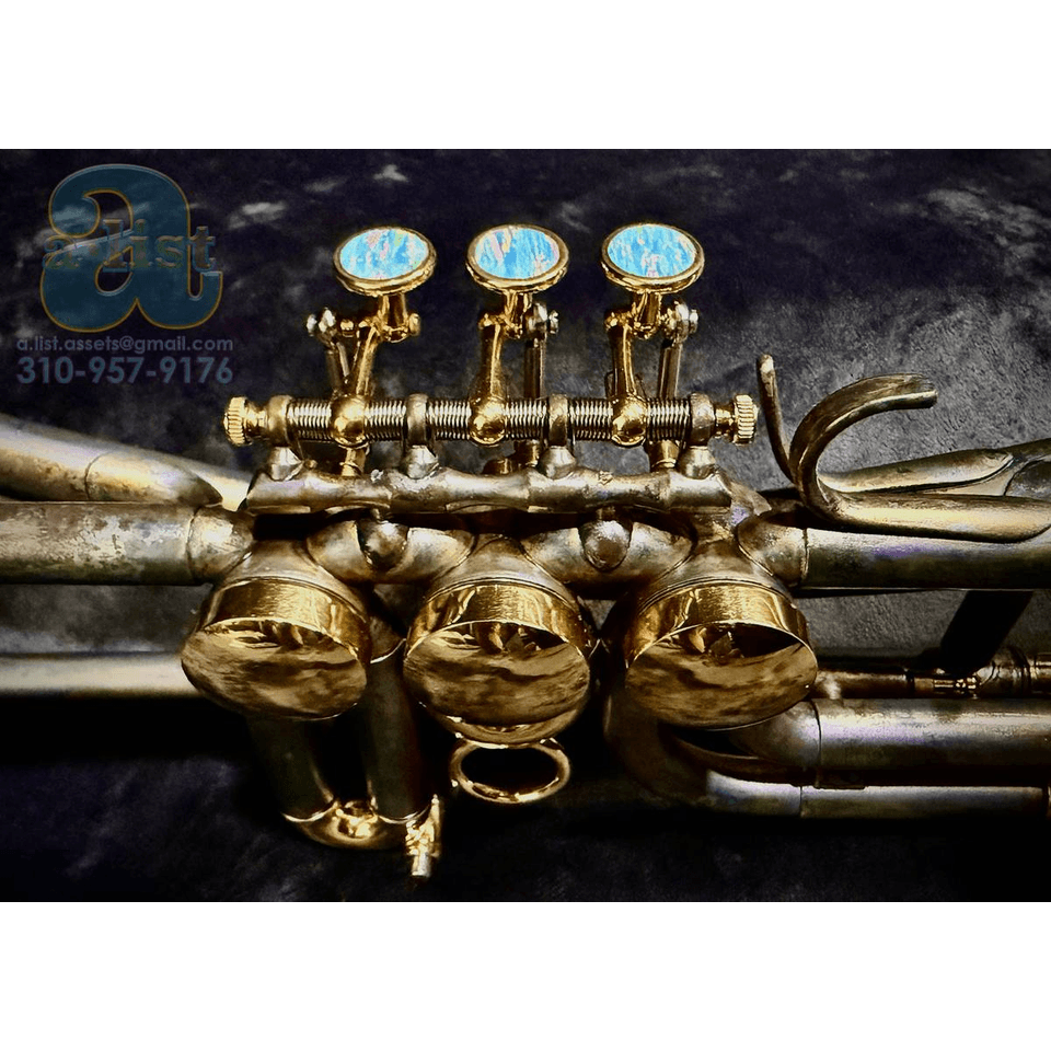 SCHAGERL GANSCH HORN Bb TRUMPET M/LIGHT—CSTM SATIN+24K GOLD—FAST/QUIET