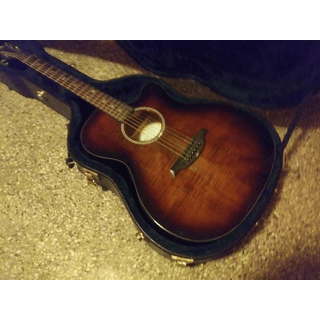 BC Rich acoustic/elec cut away -Tigers Eye Burst w/case & Schaller image 5