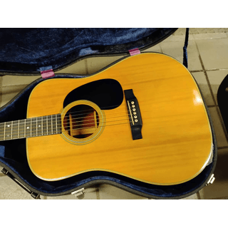 1955 Gibson j160e and 1969 Martin d-28 image 5