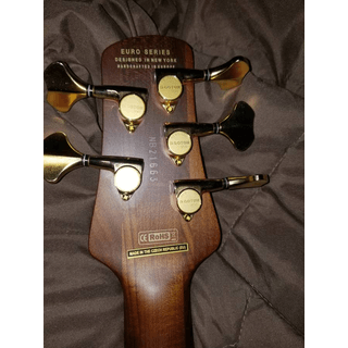 Spector RST 5 string image 4