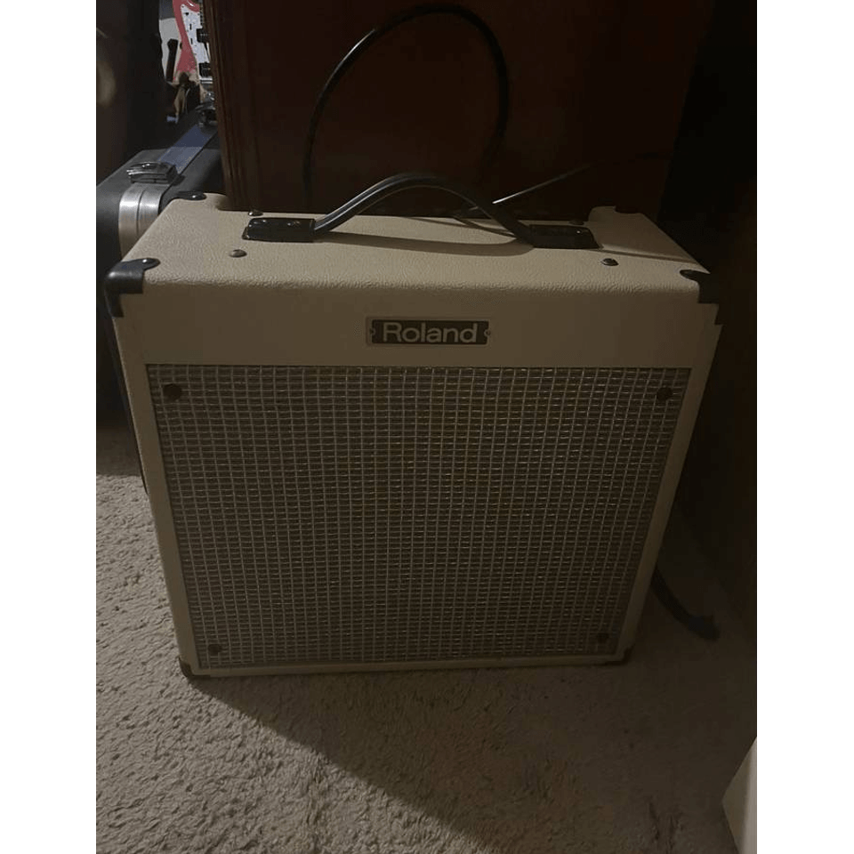 Roland Blues Cube 30