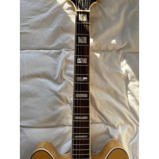 1989 Epiphone Sheraton II (OBO / Trade for bass rig) image 5