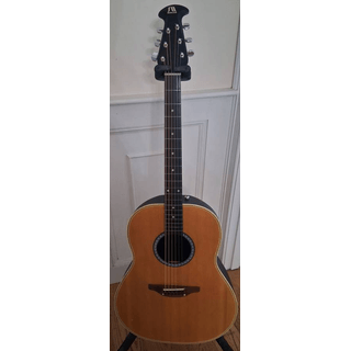 2 GUITARS MAKE AN OFFER FOR BOTH image 5