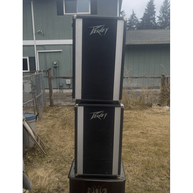 Peavey PA Speakers pair