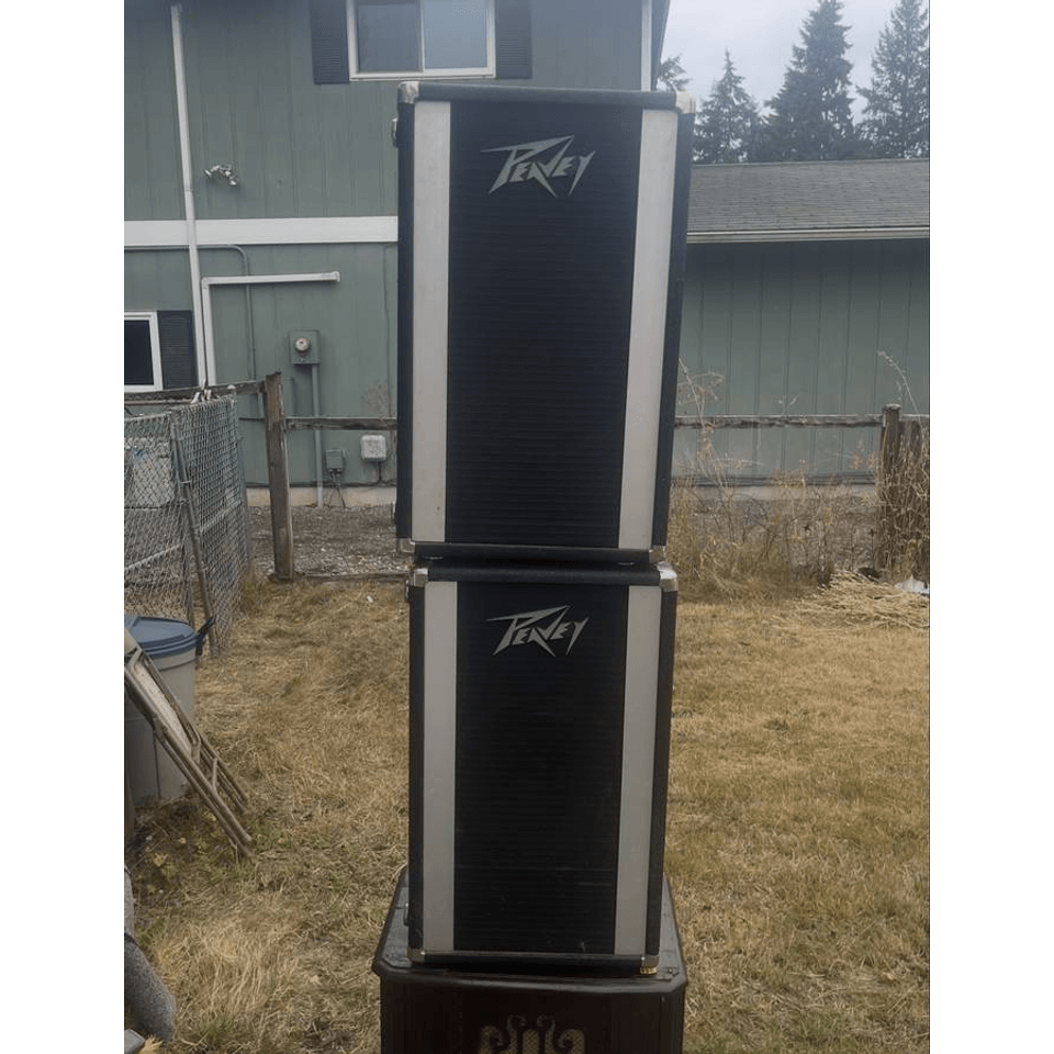 Peavey PA Speakers pair