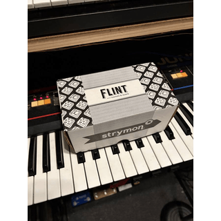 Strymon Flint v1 image 3
