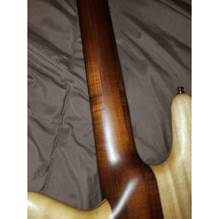 Spector RST 5 string image 5