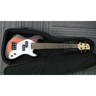 Looking to trade my gear for an Ibanez Hollow Body Guitar image 4