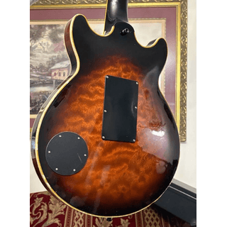 1983 Ibanez AM-255 Collectors Guitar image 3