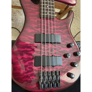Peavey Milenium AC BPX 5 string bass image 3