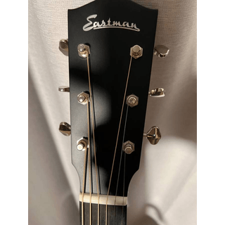 Eastman E1SS Deluxe for sale or trade image 3