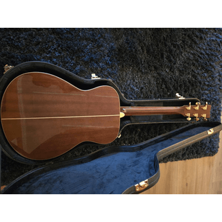 Yamaha LS16M A.R.E. with hardshell case image 4
