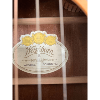 Washburn Acoustic image 3